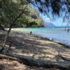Kauai North Shore Permits