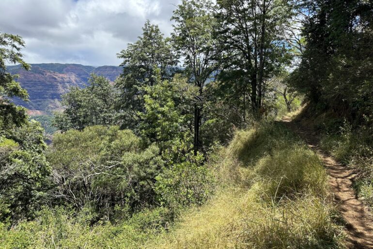 Kukui Trail
