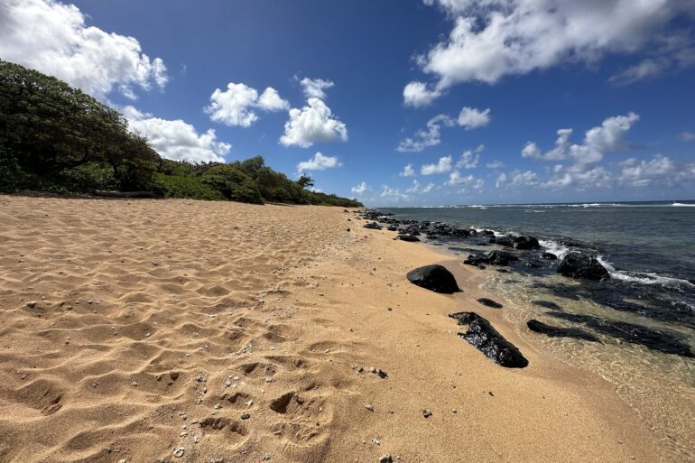 Larsen's Beach Kauai