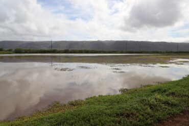 Kauai Bird Sanctuary