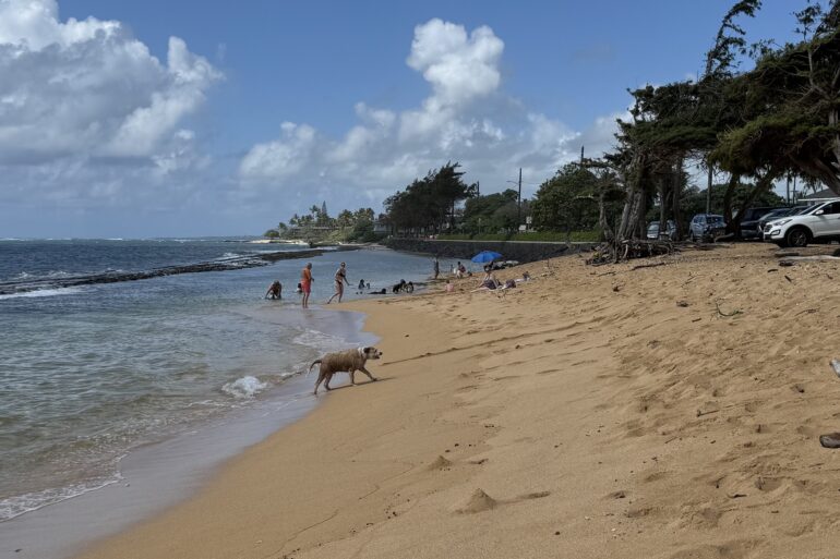 Fuji Beach Kauai