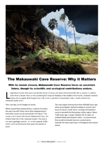 Kauai Magazine Summer 2025