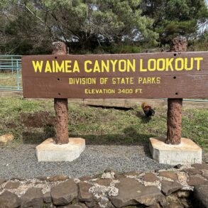 Waimea Canyon Construction Delays