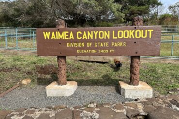 Waimea Canyon Construction Delays