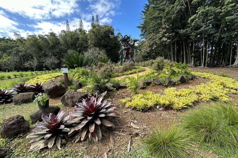 Sacred Rudraksha Forest
