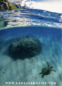 Kauai Travel Guide 2026 Preview